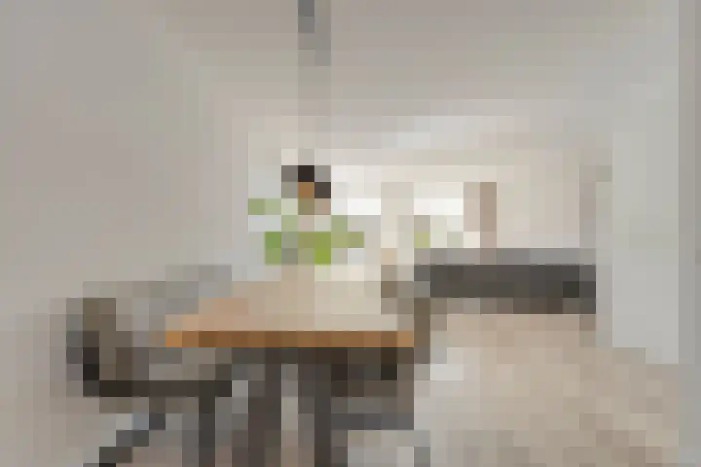 Rietkoog 20 Zwaag thumbnail 19