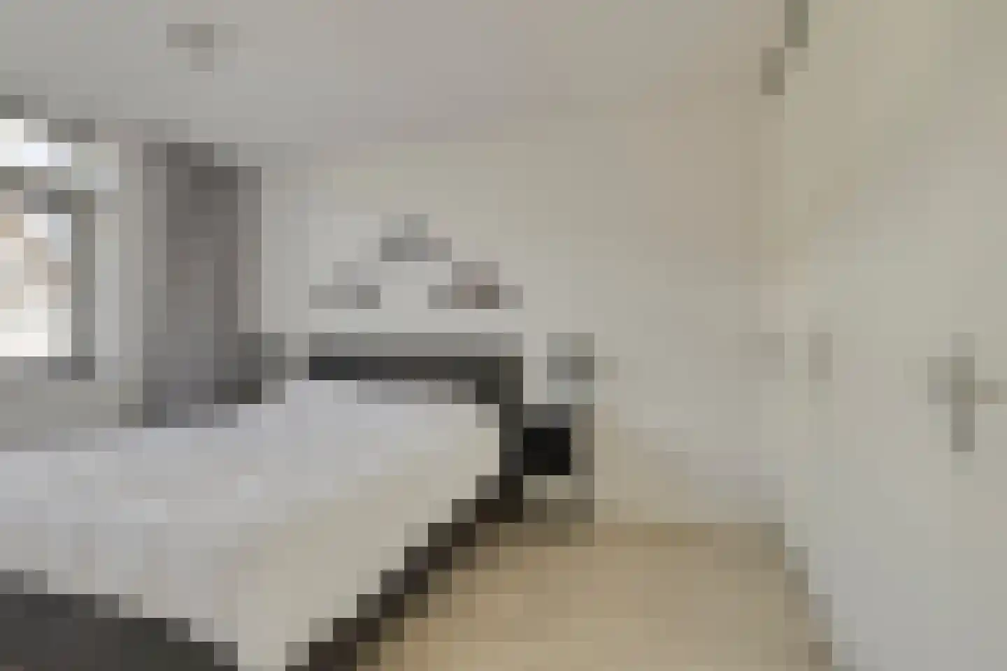 Rietkoog 20 Zwaag thumbnail 25