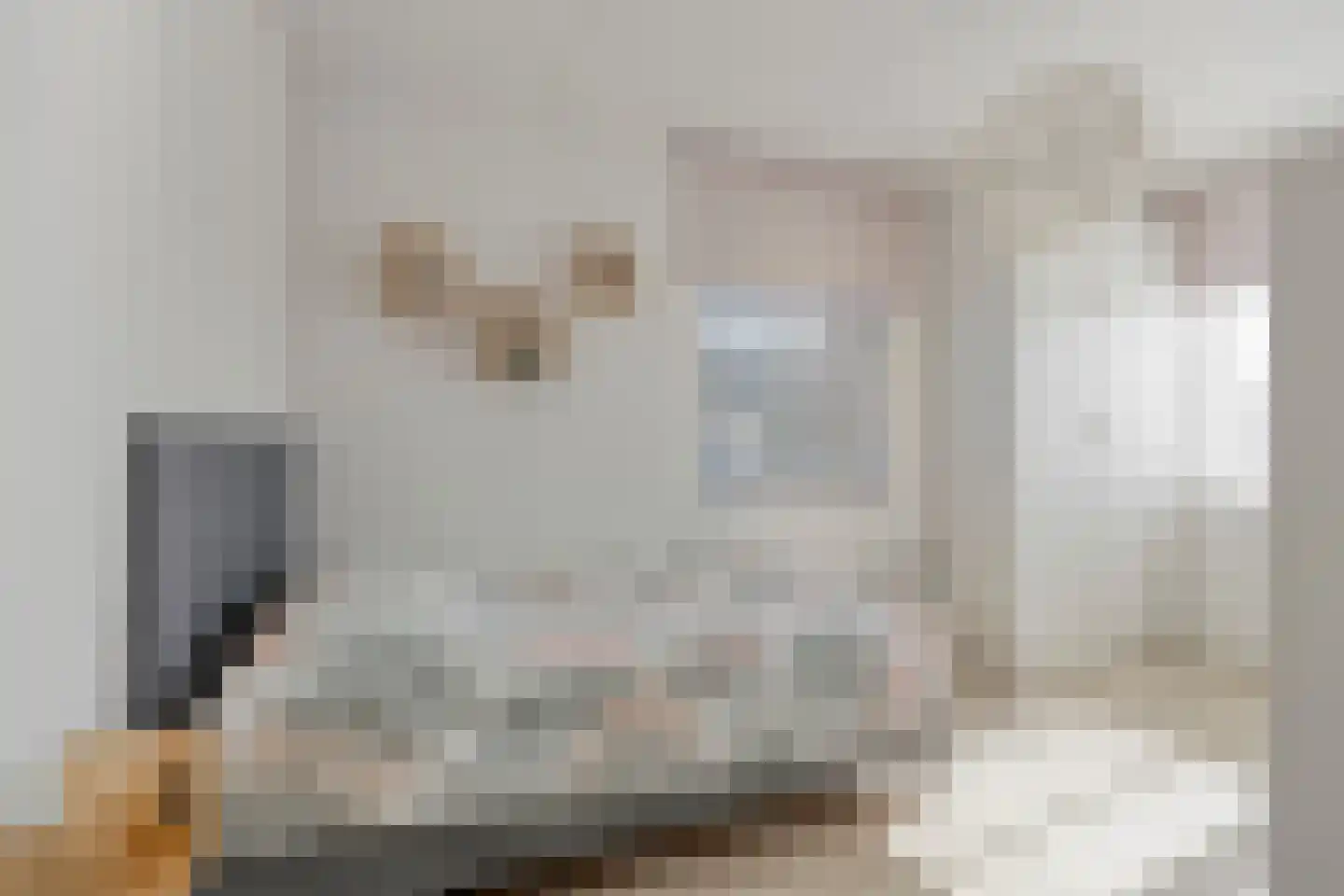 Rietkoog 20 Zwaag thumbnail 28