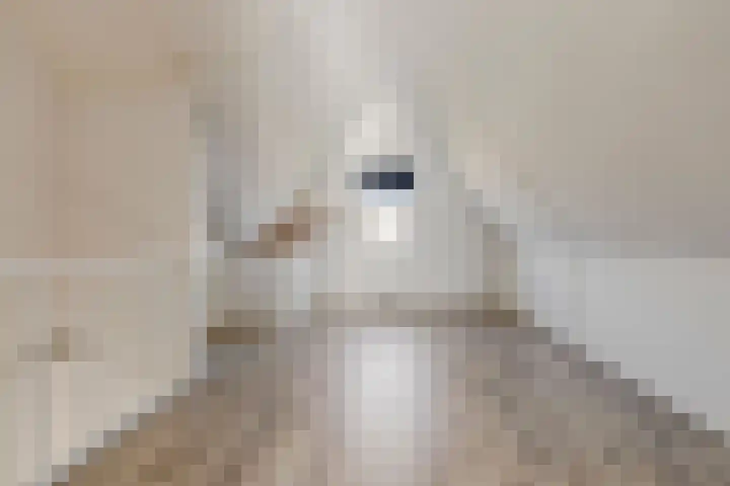 Rietkoog 20 Zwaag thumbnail 34