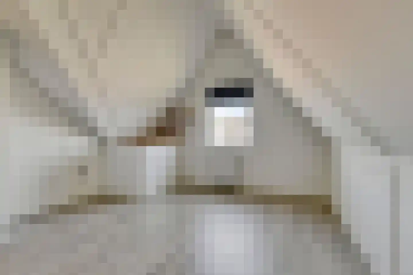 Rietkoog 20 Zwaag thumbnail 35