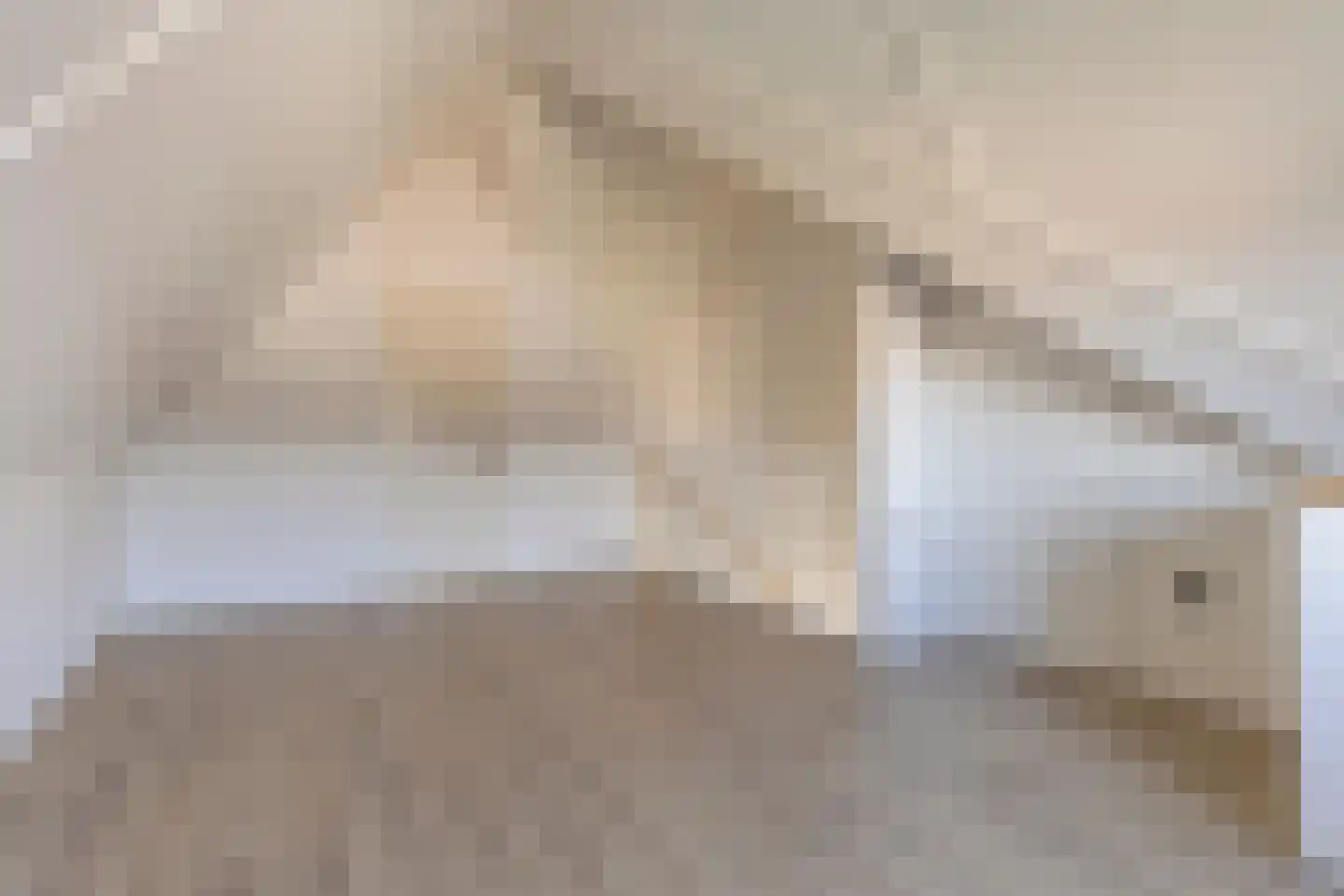 Rietkoog 20 Zwaag thumbnail 36