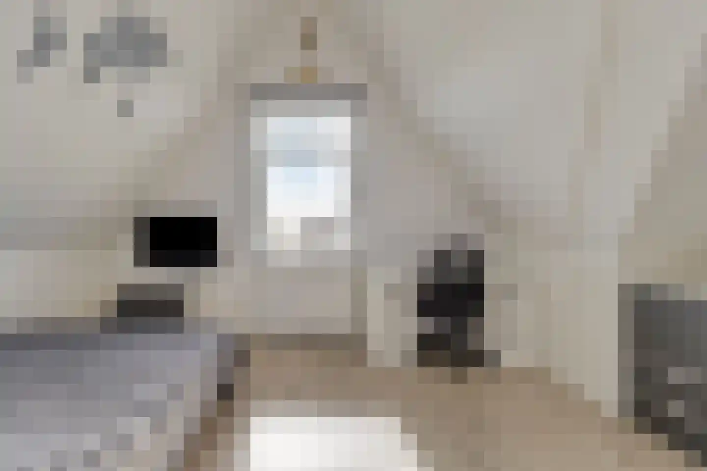 Rietkoog 20 Zwaag thumbnail 37