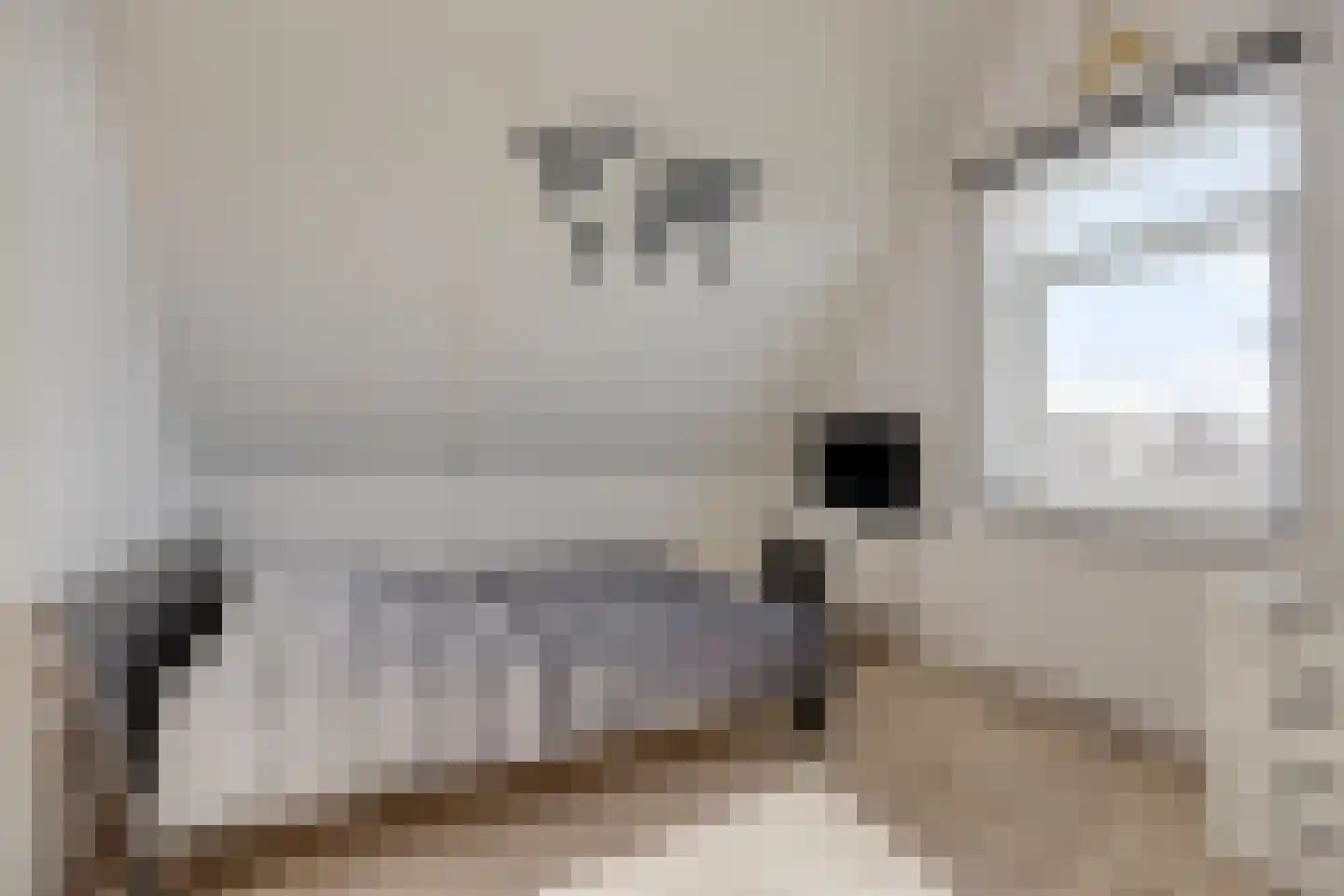 Rietkoog 20 Zwaag thumbnail 38