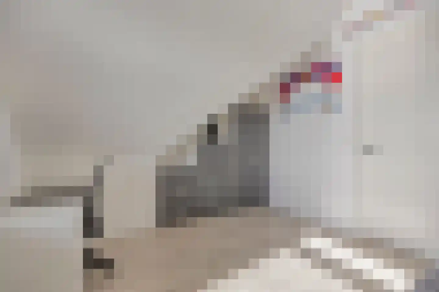 Rietkoog 20 Zwaag thumbnail 39