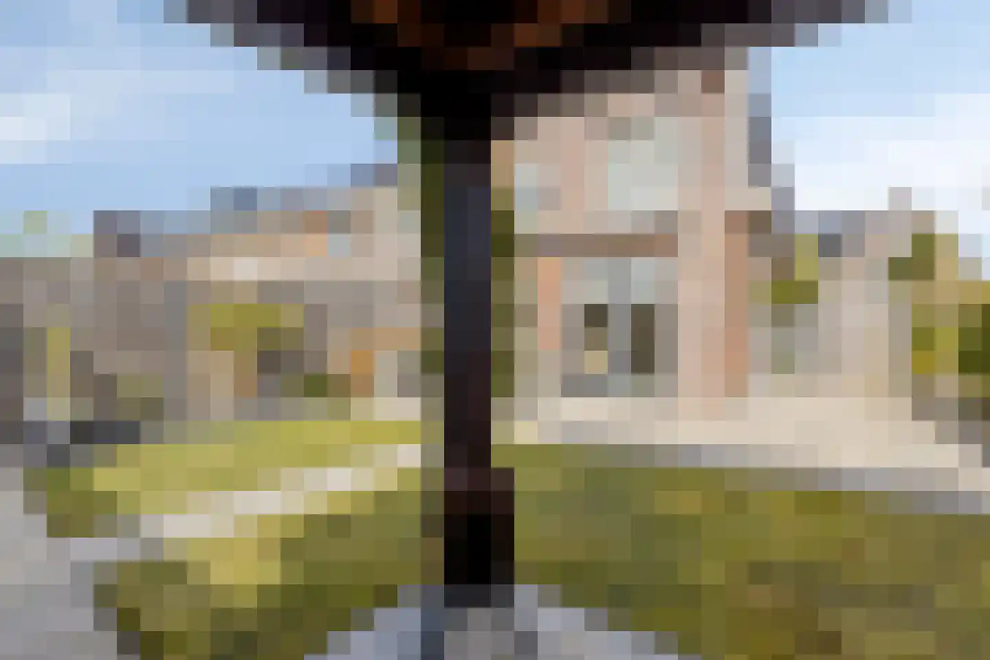 Rietkoog 20 Zwaag thumbnail 44