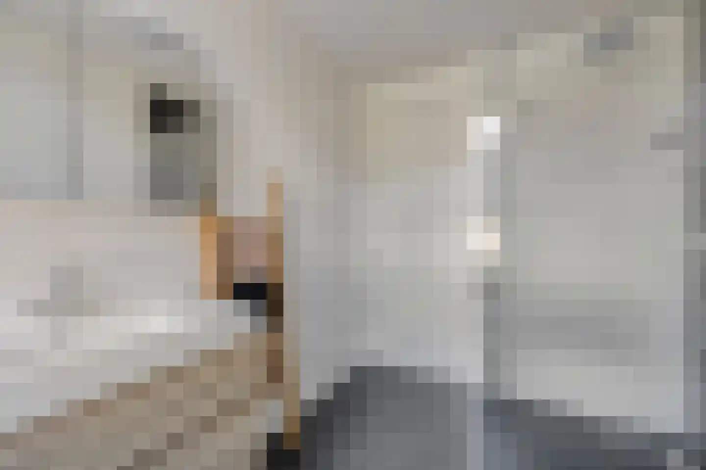 Rietkoog 20 Zwaag thumbnail 5