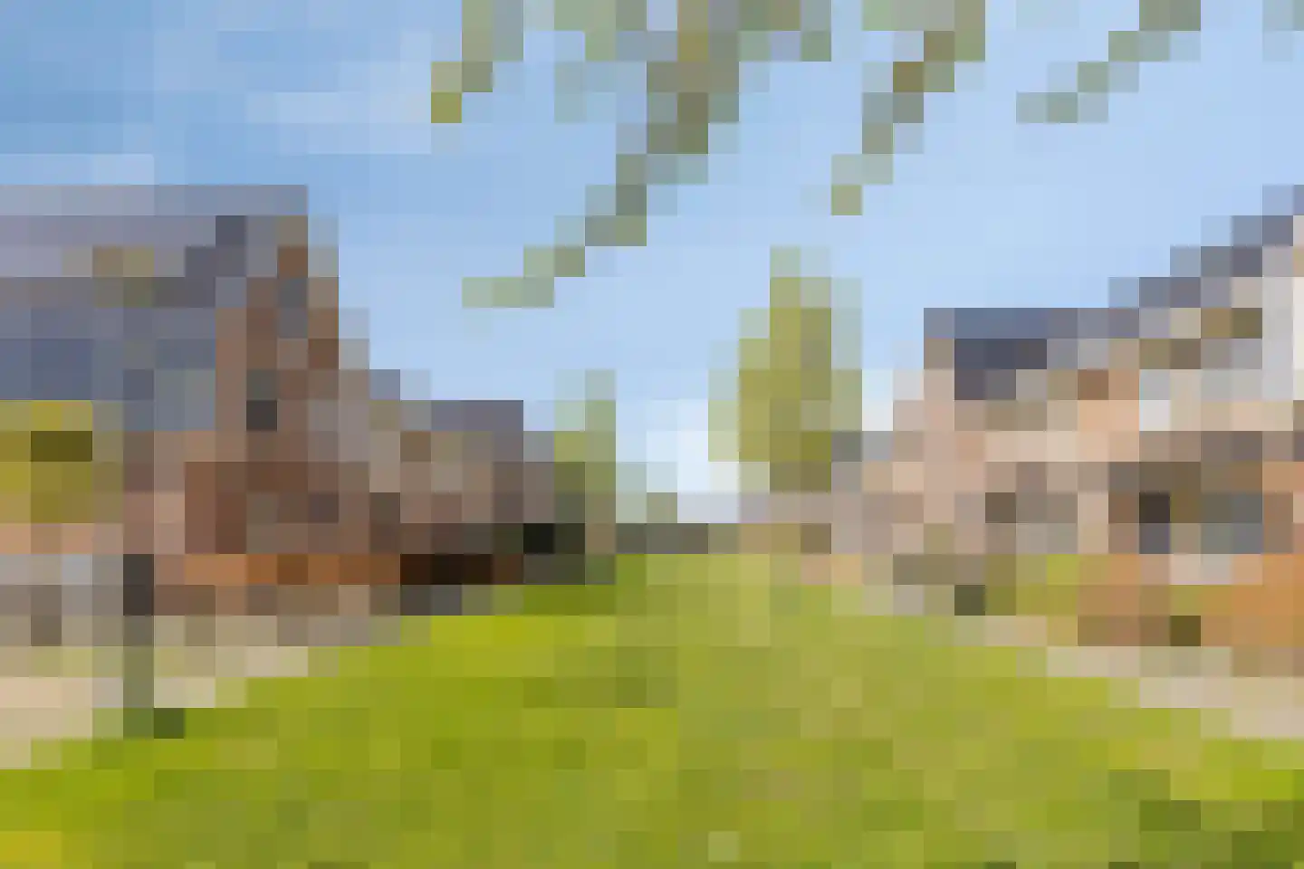 Rietkoog 20 Zwaag thumbnail 58