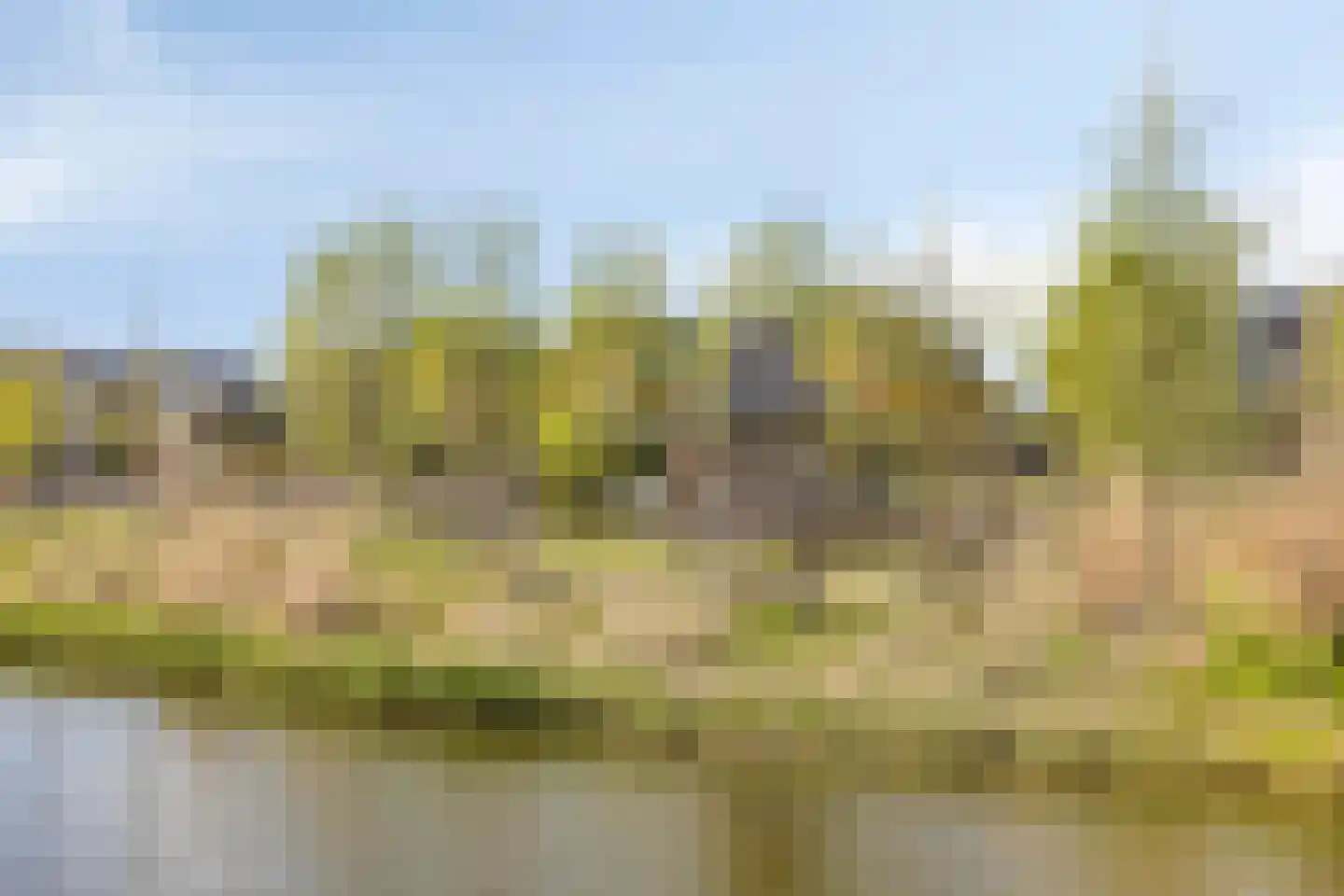 Rietkoog 20 Zwaag thumbnail 60