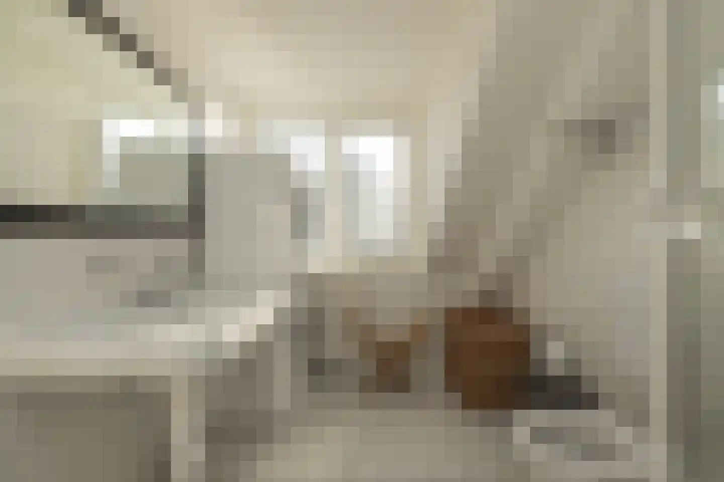 Rietkraag 120 Beinsdorp thumbnail 28