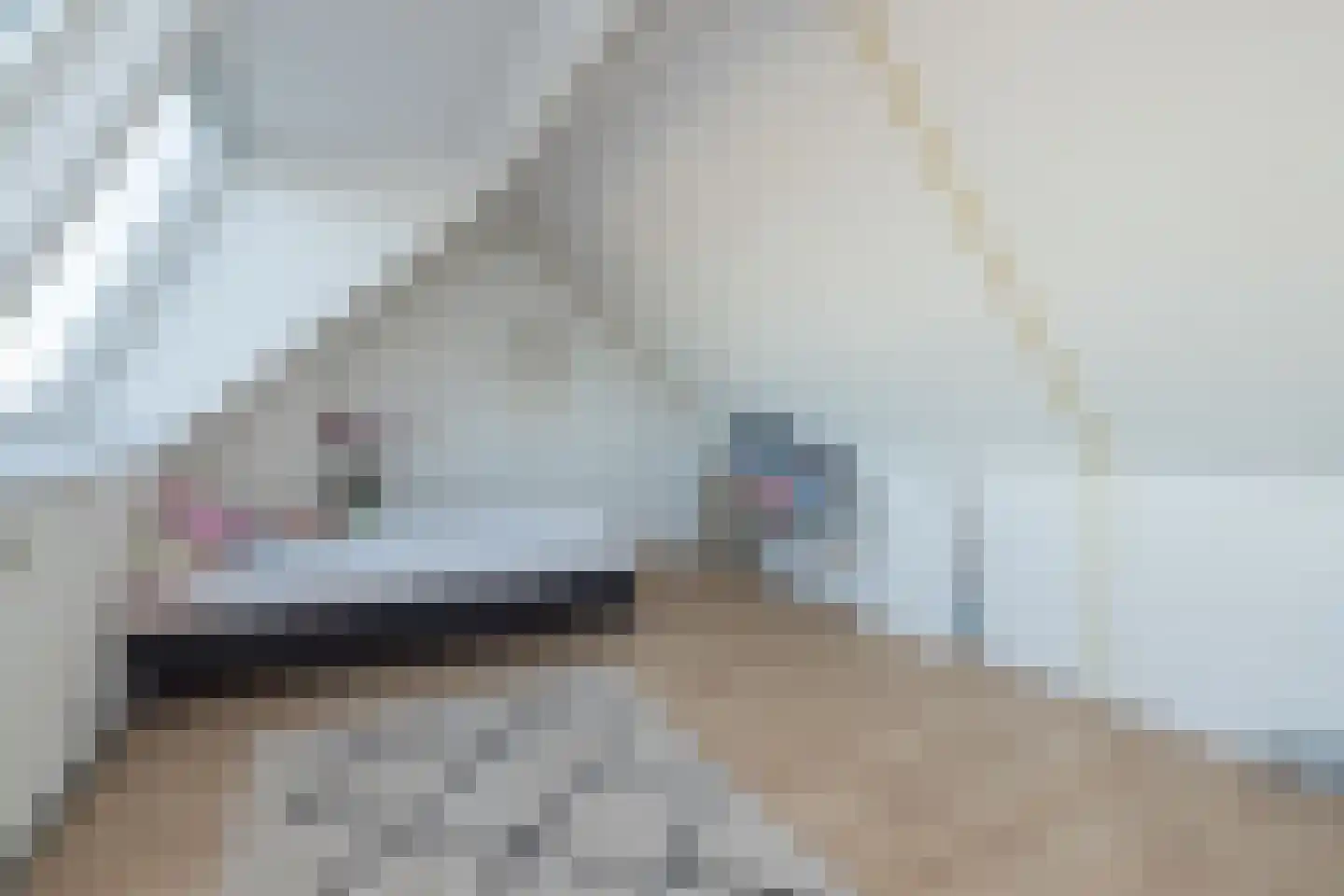 Rietkraag 120 Beinsdorp thumbnail 31