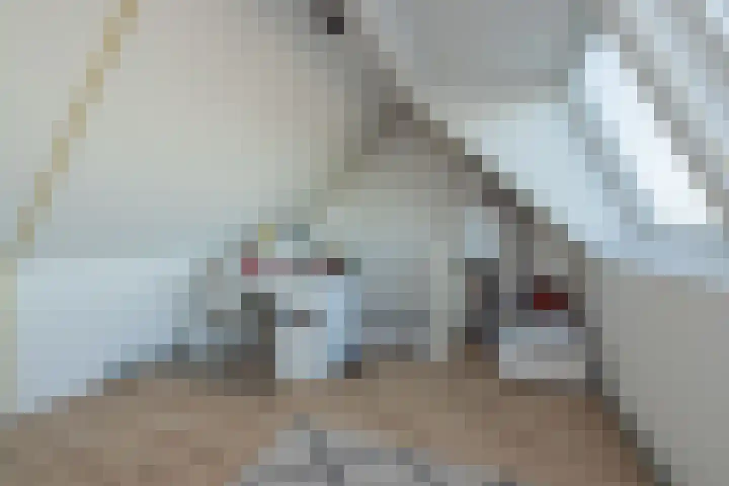 Rietkraag 120 Beinsdorp thumbnail 33