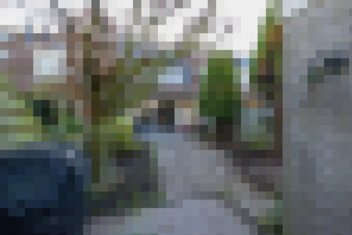 Rietkraag 120 Beinsdorp thumbnail 40