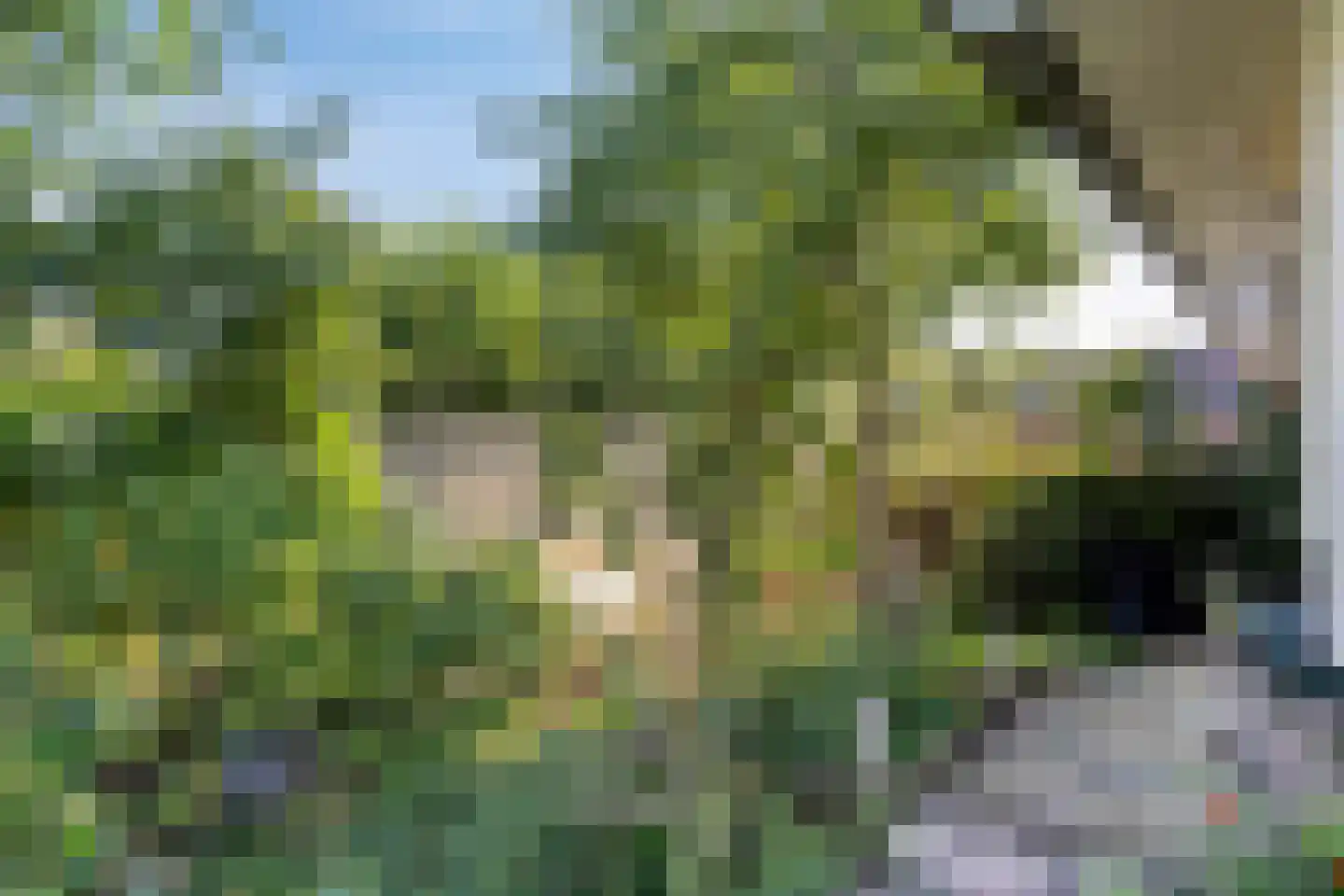 Rietkraag 124 Beinsdorp thumbnail 10
