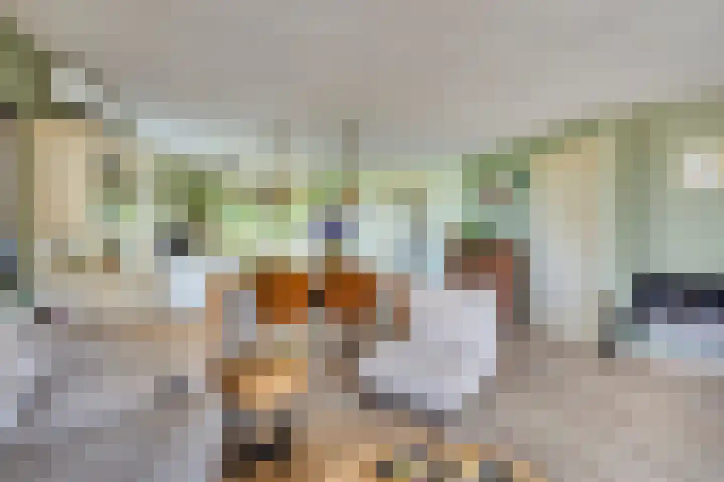 Rietkraag 124 Beinsdorp thumbnail 17