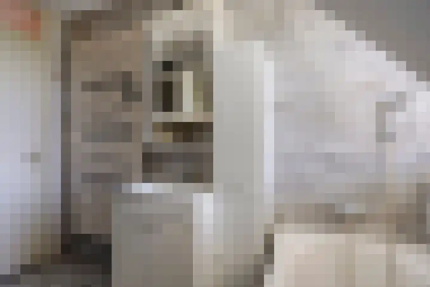 Rietkraag 124 Beinsdorp thumbnail 33