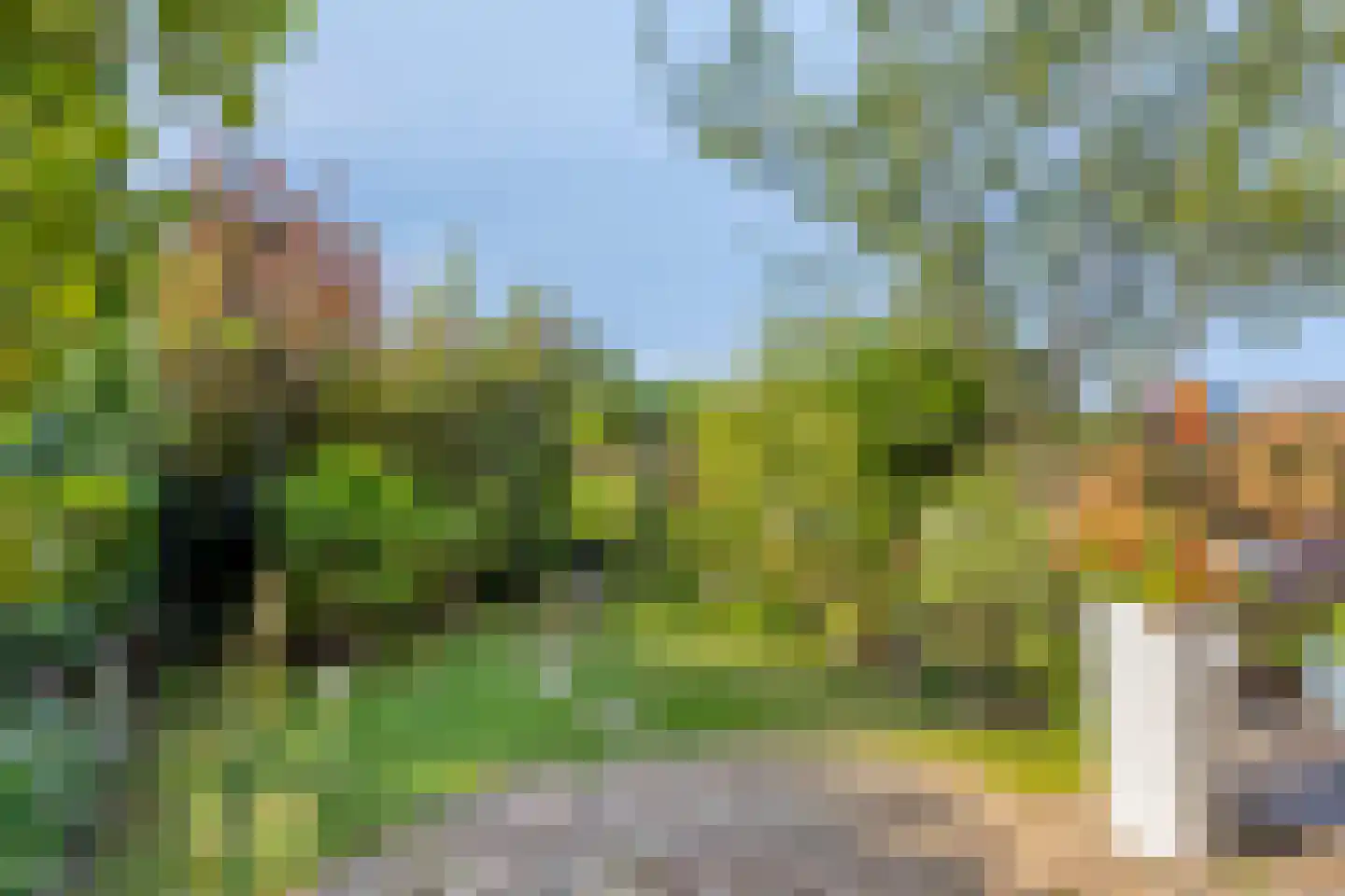 Rietkraag 124 Beinsdorp thumbnail 42