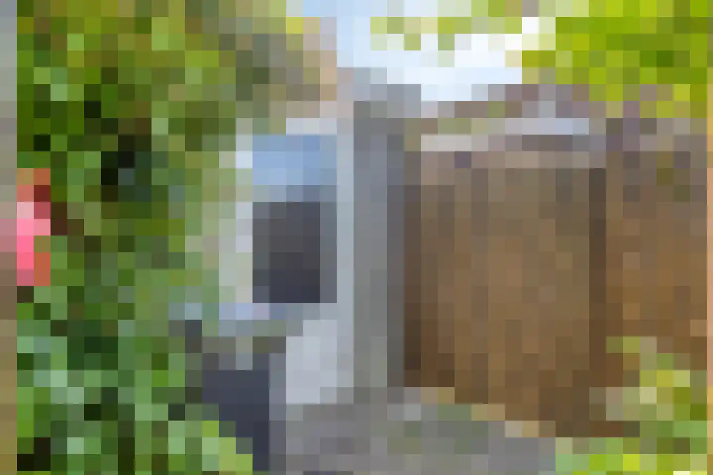 Rietkraag 124 Beinsdorp thumbnail 46