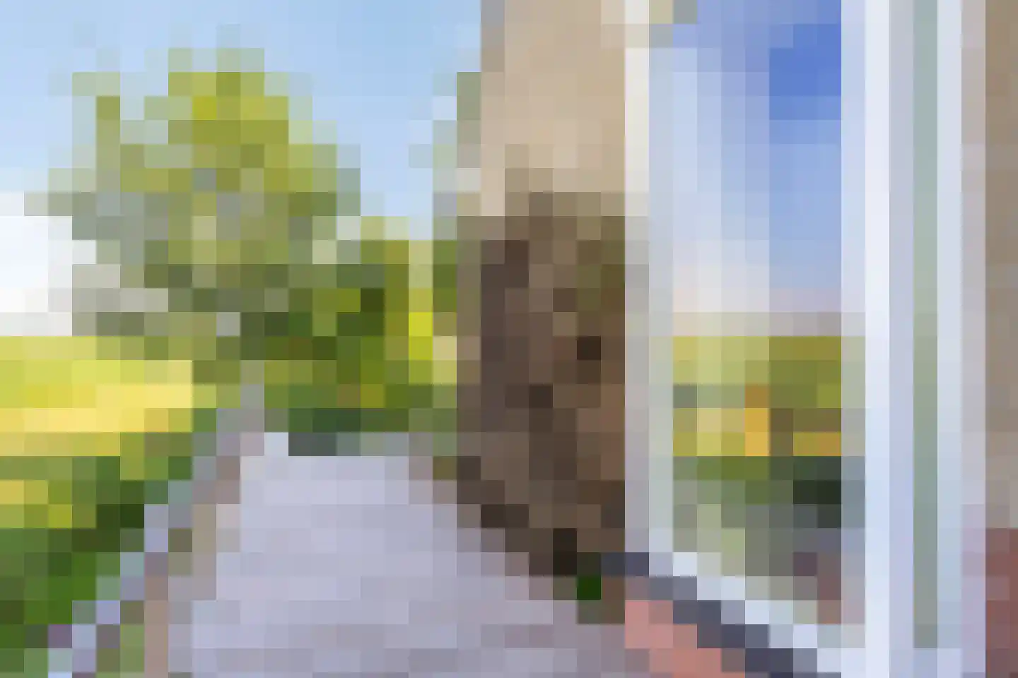 Rietkraag 124 Beinsdorp thumbnail 51