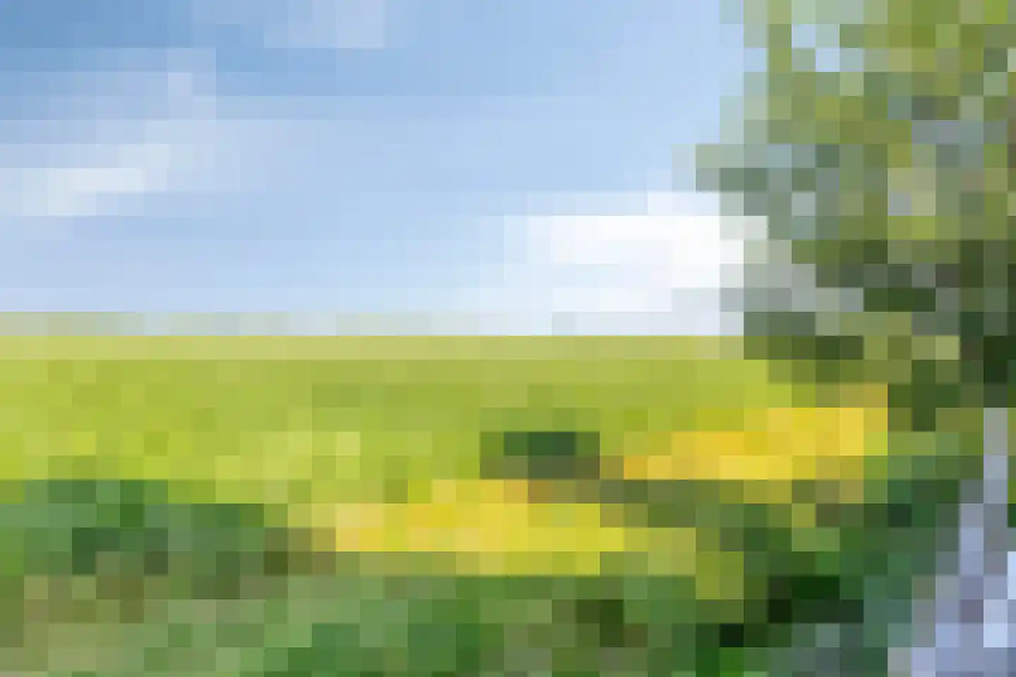 Rietkraag 124 Beinsdorp thumbnail 53