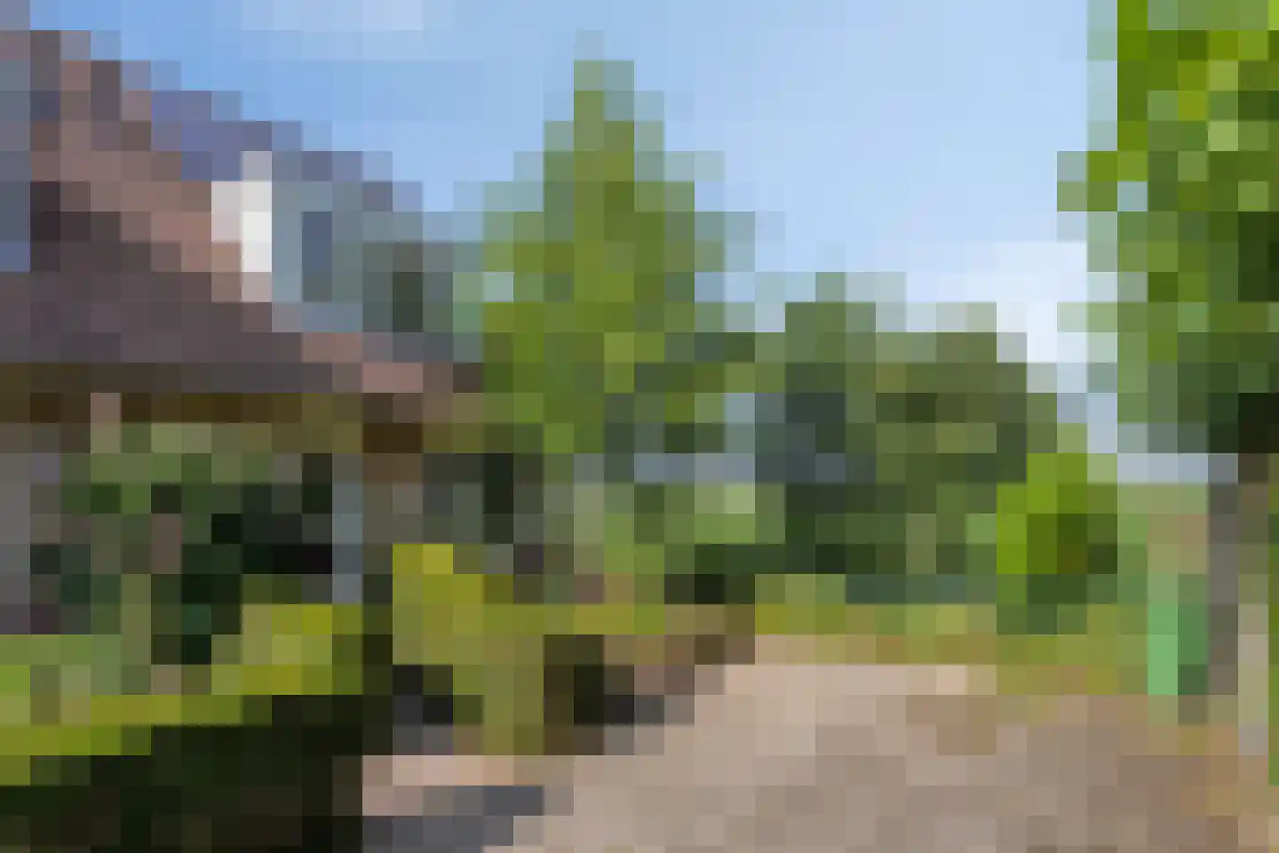 Rietkraag 124 Beinsdorp thumbnail 7