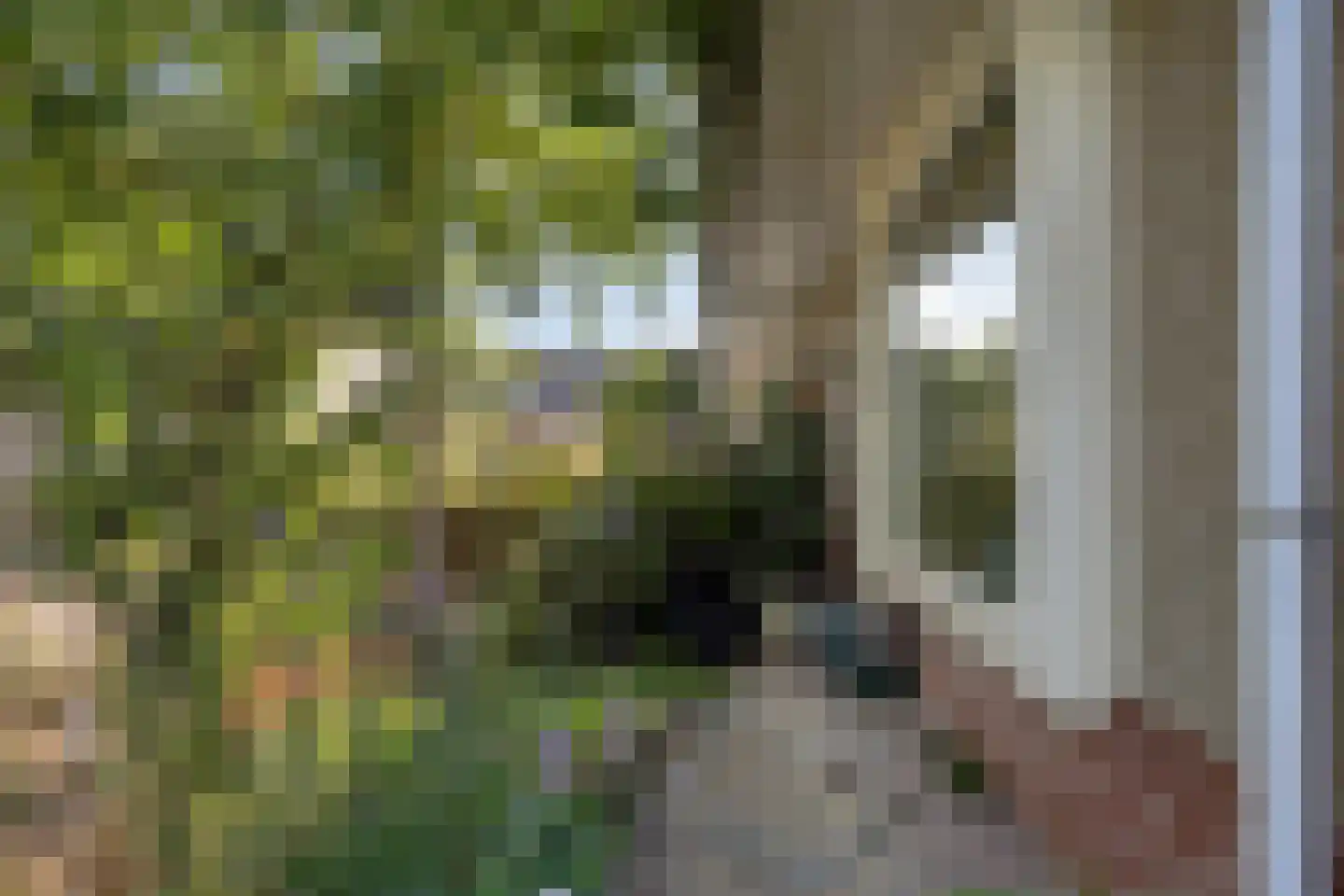 Rietkraag 124 Beinsdorp thumbnail 9