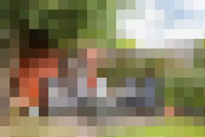 Rietkraag 24 Vlissingen thumbnail 12
