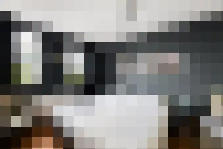 Rietkraag 24 Vlissingen thumbnail 14