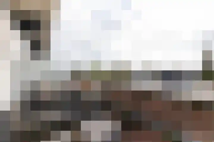 Rietkraag 24 Vlissingen thumbnail 21