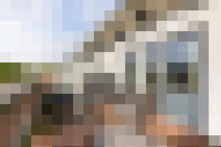 Rietkraag 24 Vlissingen thumbnail 22