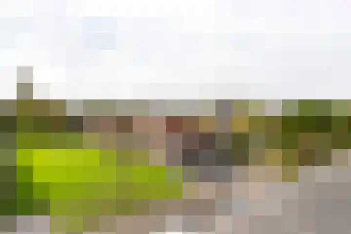Rietkraag 24 Vlissingen thumbnail 23