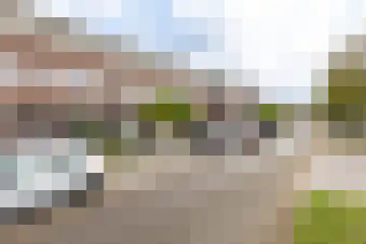 Rietkraag 24 Vlissingen thumbnail 24