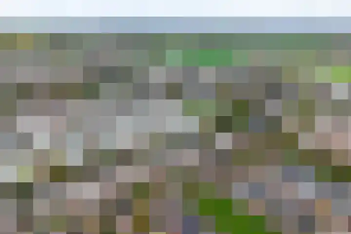 Rietkraag 24 Vlissingen thumbnail 25