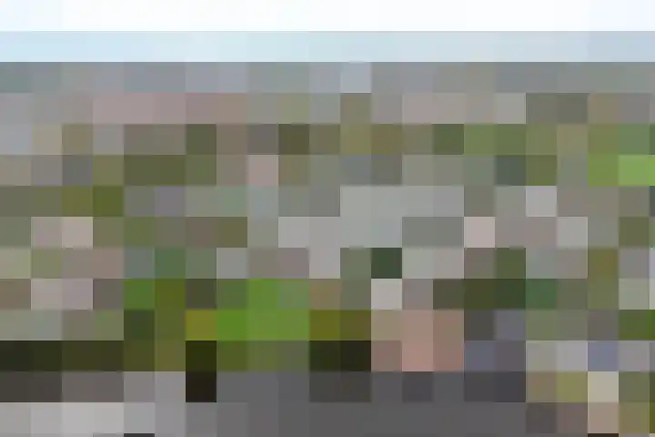 Rietkraag 24 Vlissingen thumbnail 4