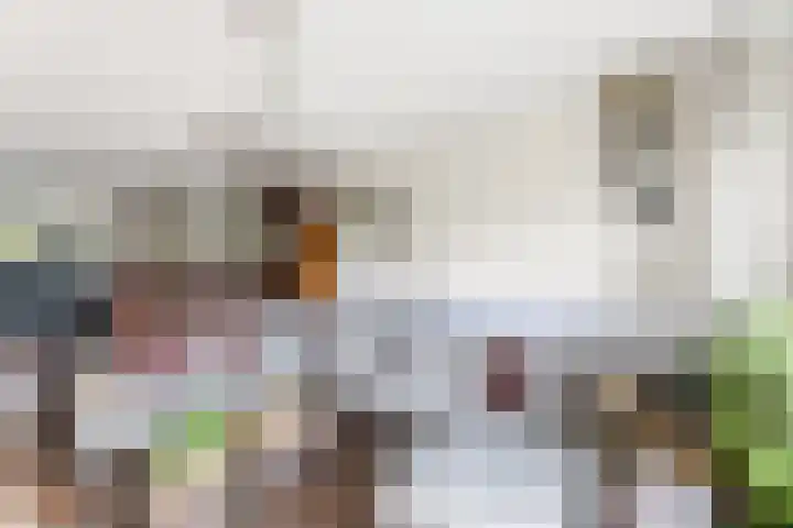 Rietkraag 24 Vlissingen thumbnail 7
