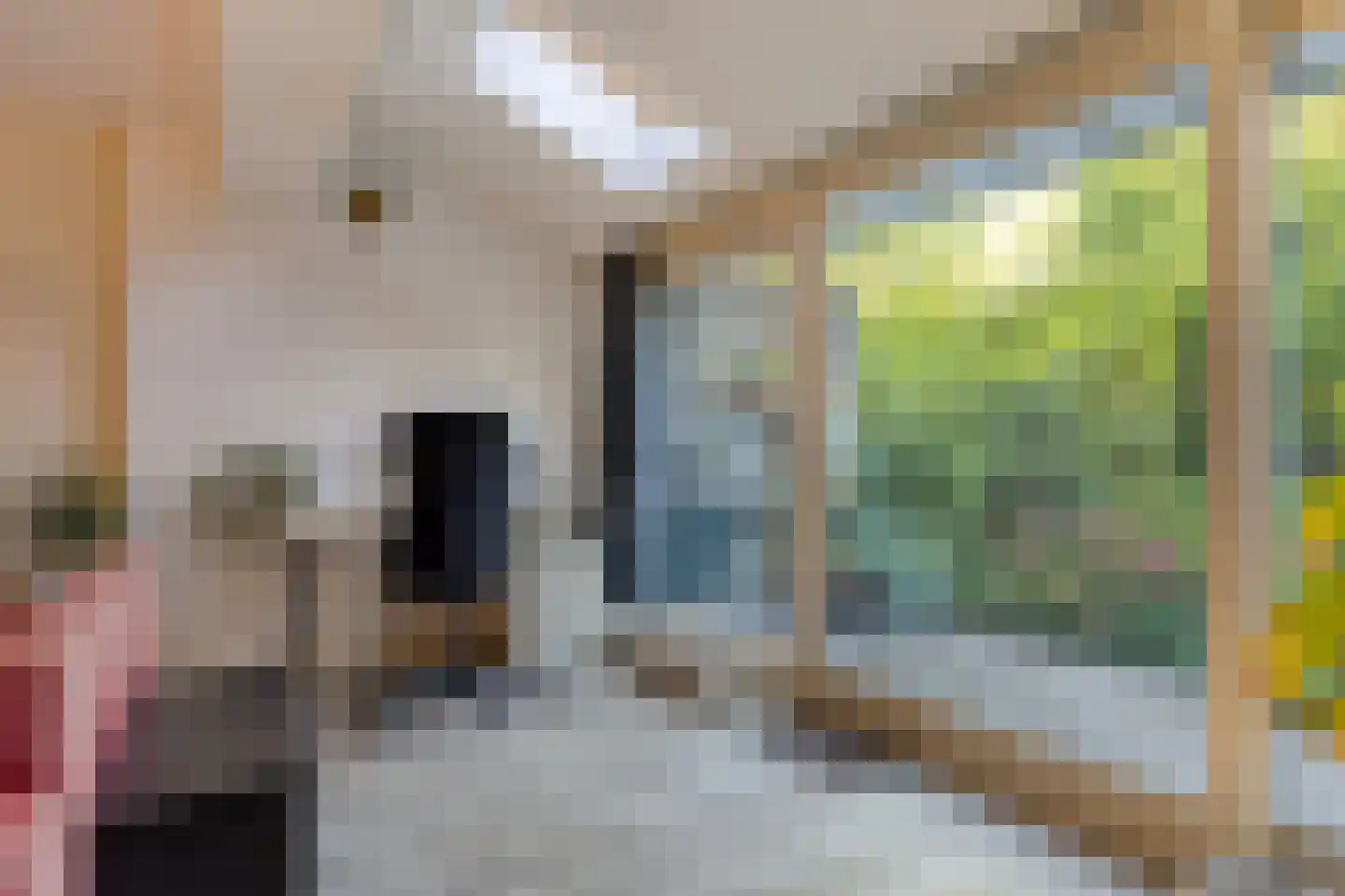 Rietkraag 27 Schiedam thumbnail 10