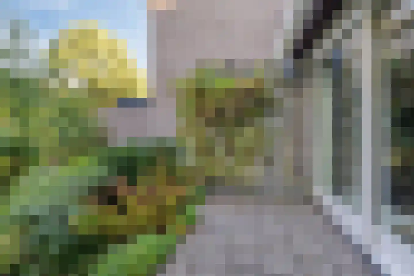 Rietkraag 27 Schiedam thumbnail 14