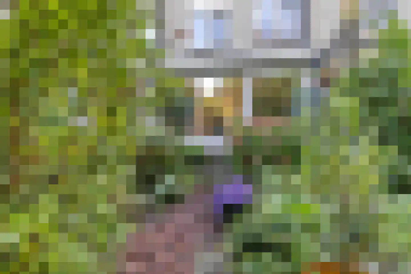 Rietkraag 27 Schiedam thumbnail 15