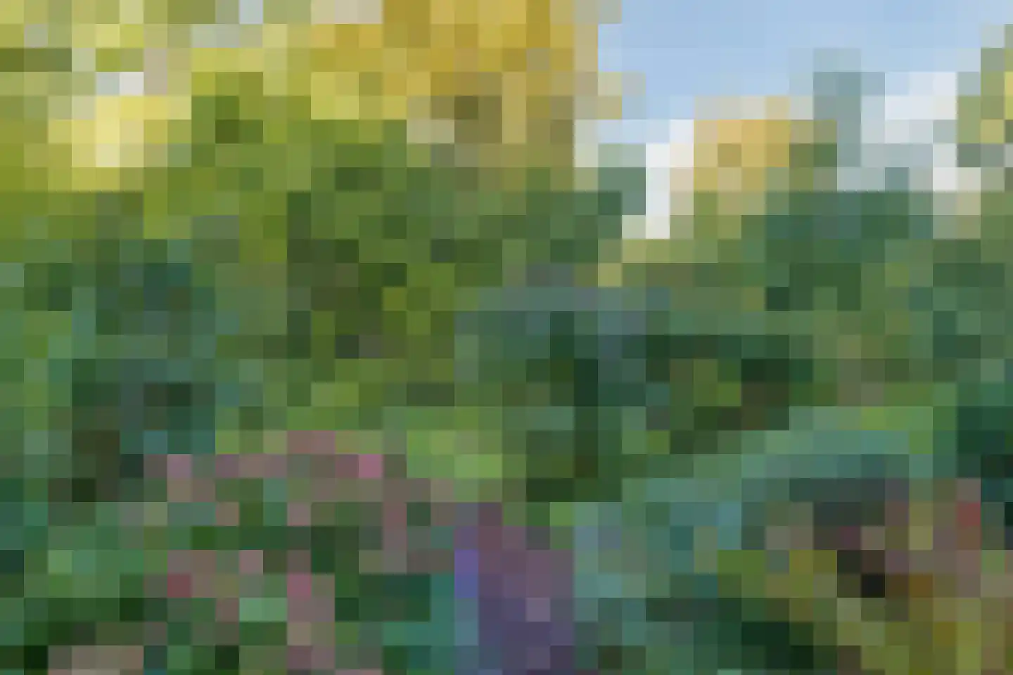 Rietkraag 27 Schiedam thumbnail 17