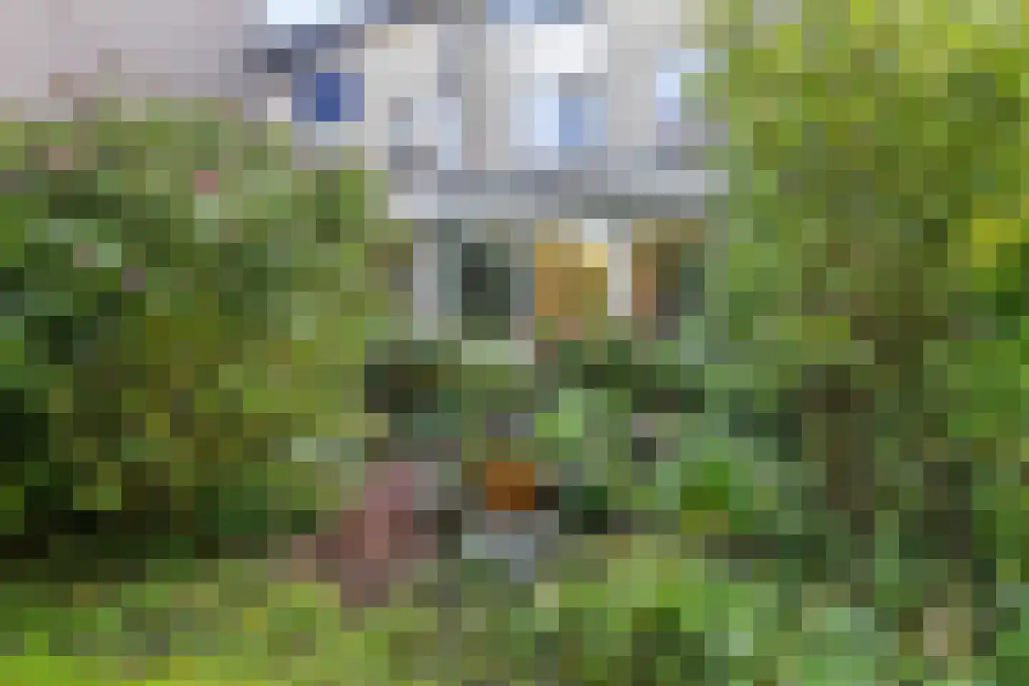Rietkraag 27 Schiedam thumbnail 18