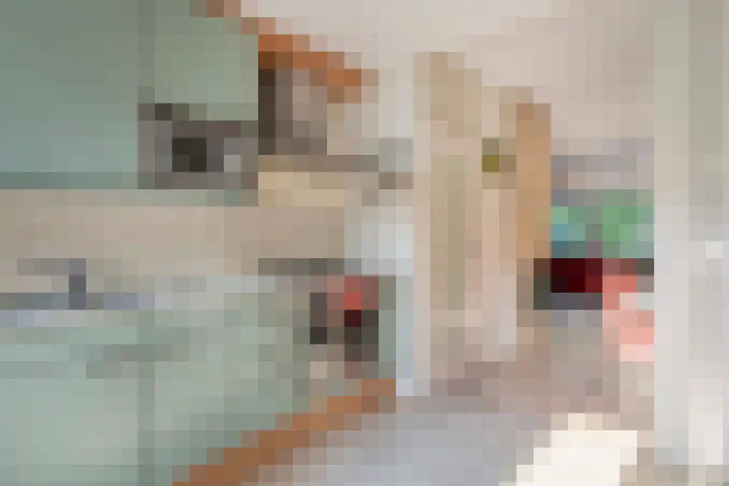 Rietkraag 27 Schiedam thumbnail 24