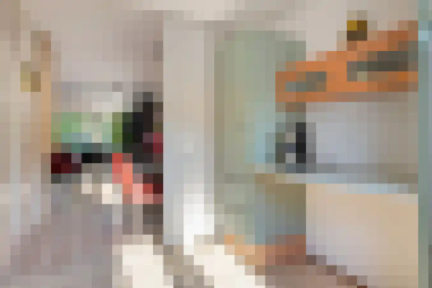 Rietkraag 27 Schiedam thumbnail 25