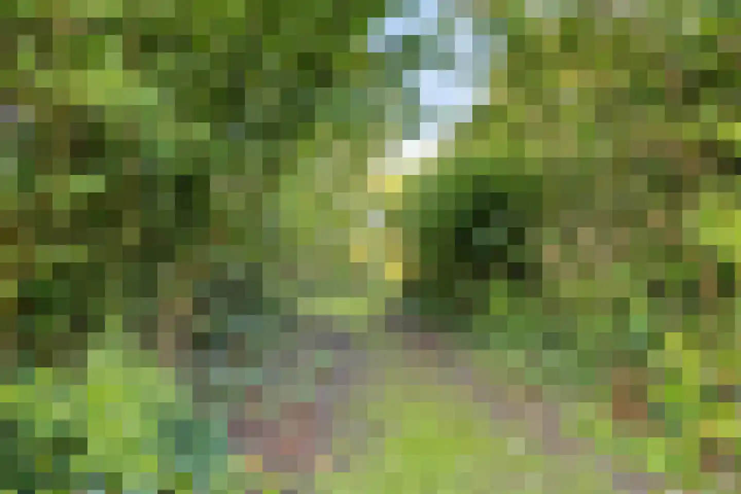 Rietkraag 27 Schiedam thumbnail 49