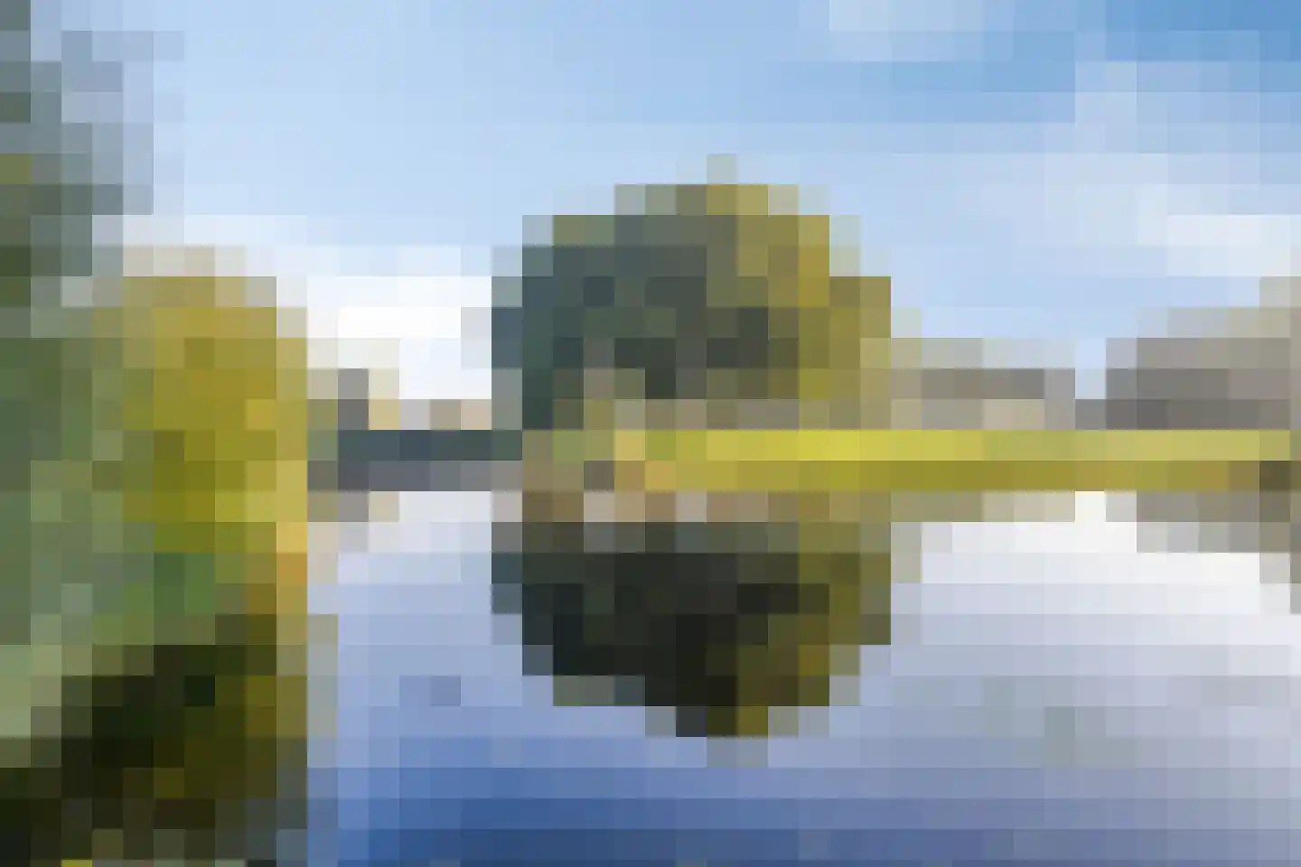 Rietkraag 27 Schiedam thumbnail 50