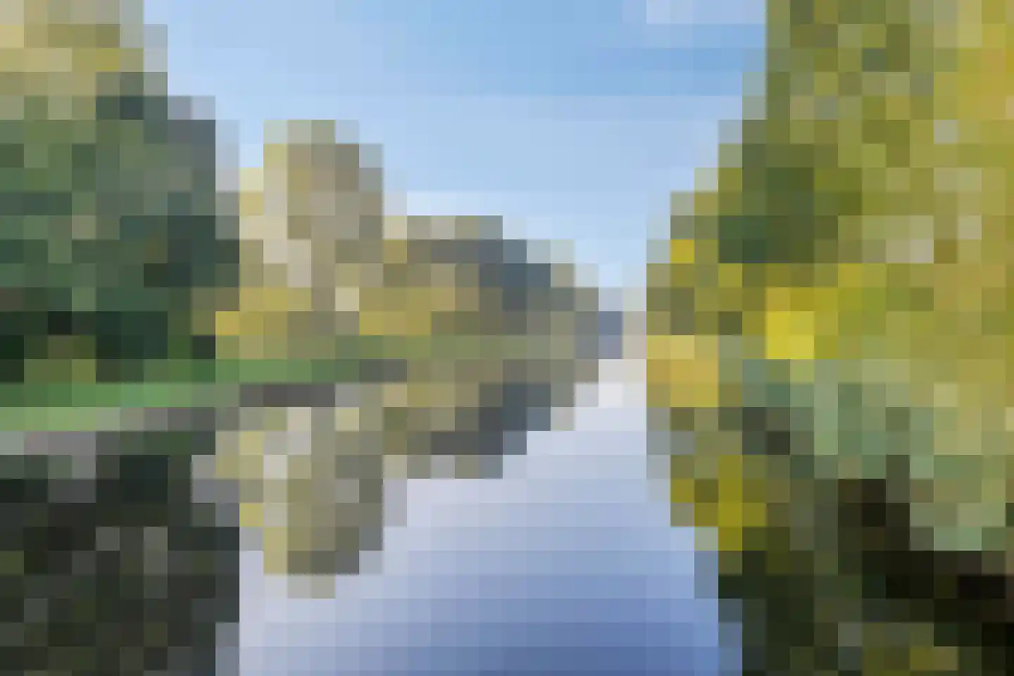 Rietkraag 27 Schiedam thumbnail 51