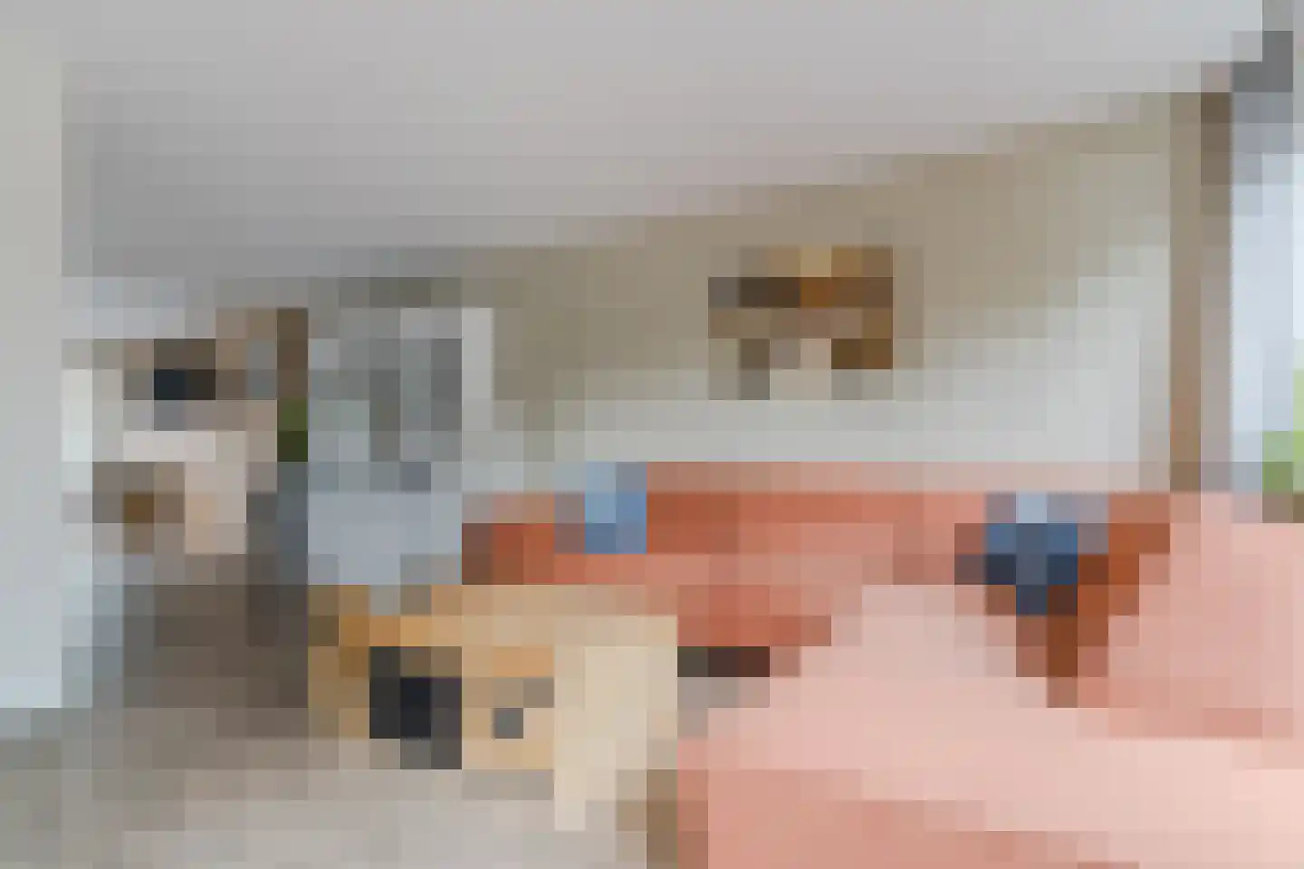 Rietkraag 28 Tuitjenhorn thumbnail 11