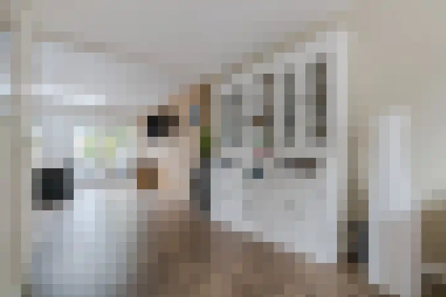 Rietkraag 28 Tuitjenhorn thumbnail 13