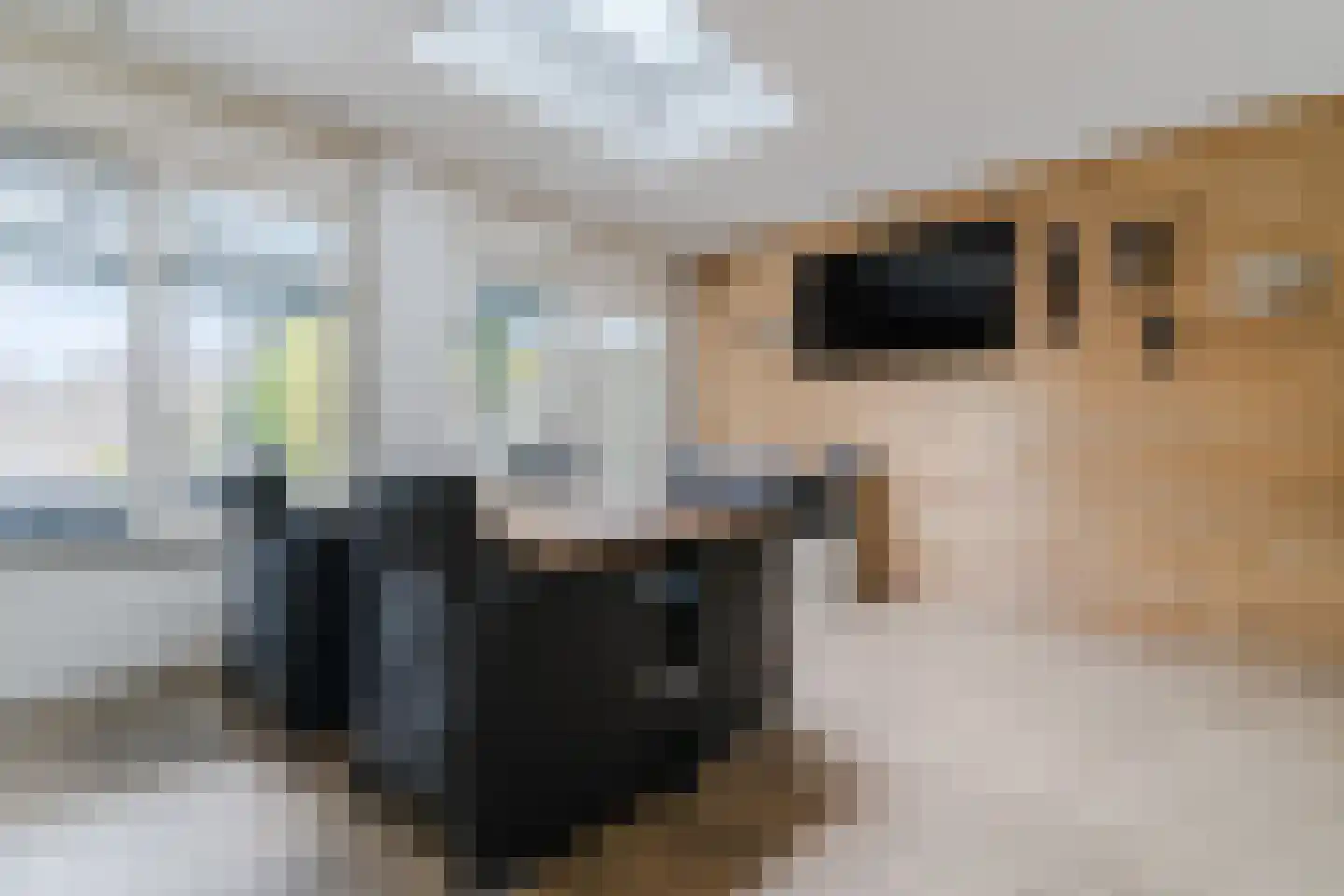 Rietkraag 28 Tuitjenhorn thumbnail 17