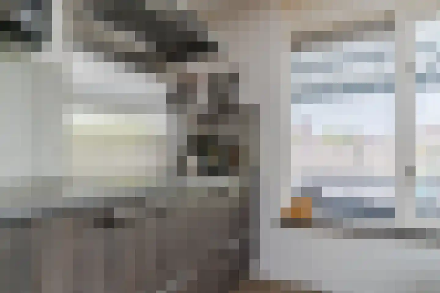 Rietkraag 28 Tuitjenhorn thumbnail 18