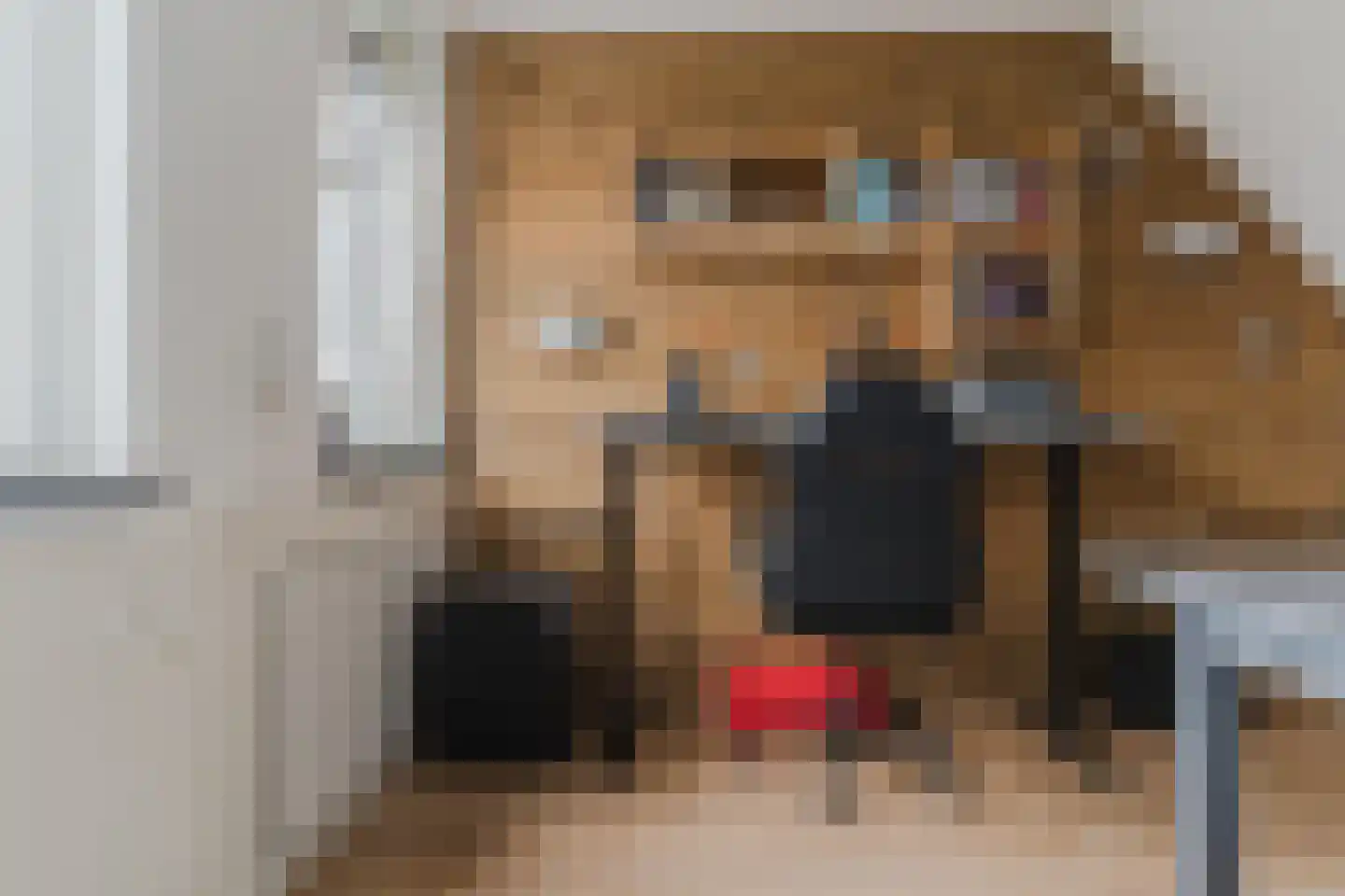 Rietkraag 28 Tuitjenhorn thumbnail 21